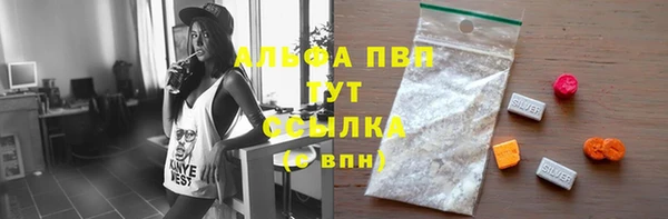тгк Богородск