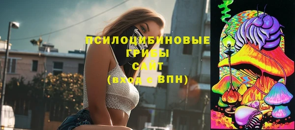 тгк Богородск