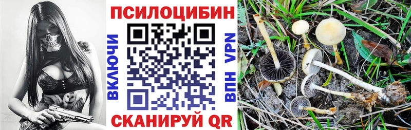 хочу   Миньяр  Галлюциногенные грибы Magic Shrooms 